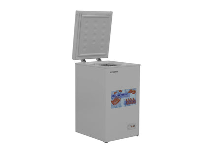 Սառցարան SKYWORTH BD-110B